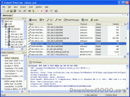 Colasoft EtherLook screenshot